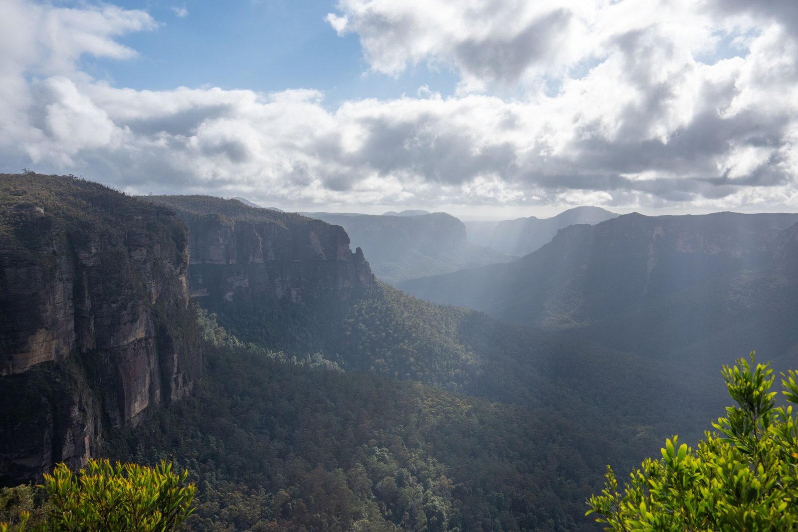 Light falling through the Grose Valley in the Blue Mountains, sandstone cliffs on both sides