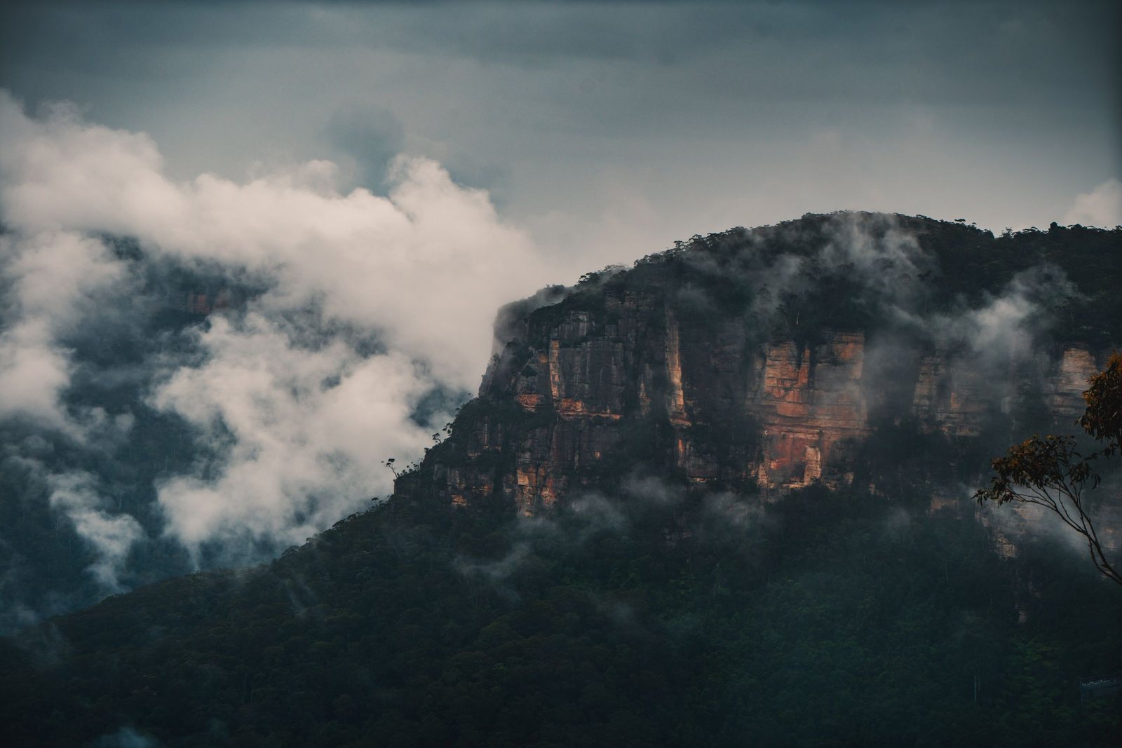 Cloud sitting in the valley below a banded sandstone escarpment near Leura, eucalypt canopy under late light